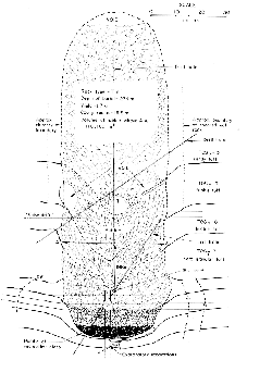 Plumbbob Ranier